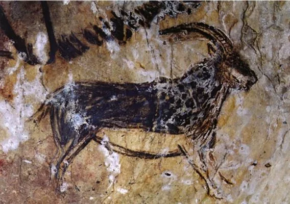 kömür mağara resimi